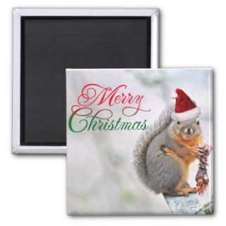 Christmas Squirrel Wearing Santa Claus Hat Refrigerator Magnet