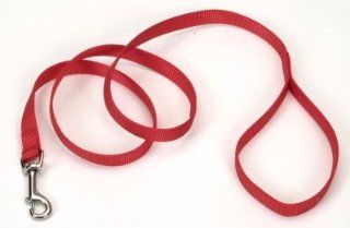 Coastal Pet Products DCP604Red Nylon Collar Lead for Pets, 3/4 Inch by 4 Feet, Red : Pet Leashes : Pet Supplies