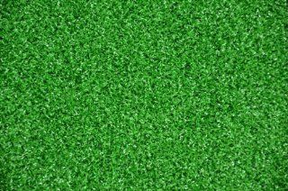 Dean Premium Heavy Duty Indoor/Outdoor Green Artificial Grass Turf Carpet Rug/Putting Green/Dog Mat, Size 6' x 8'  Area Rugs  