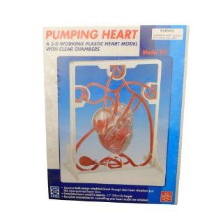 Ajax Scientific Plastic Pumping Heart Model Kit: Industrial & Scientific