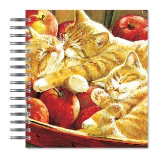 ECOeverywhere Apples Picture Photo Album, 18 Pages, Holds 72 Photos, 7.75 x 8.75 Inches, Multicolored (PA90121) : Wirebound Notebooks : Office Products