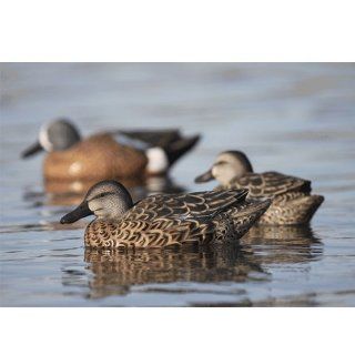 Avery Greenhead Gear Pro Grade Blue Winged Teal Floating Duck Decoys Early Season Hen Pack 73126 : Hunting Decoys : Sports & Outdoors