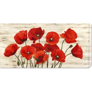 Global Gallery French Poppies by Serena Biffi Stretched Canvas Art
