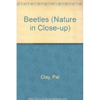 Beetles (Nature in Close up): Pat Clay, Helen Clay: 9780713623499: Books