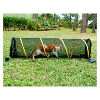 ABO Gear Fun Run Exercise Tunnels for Cats   Cat Toys