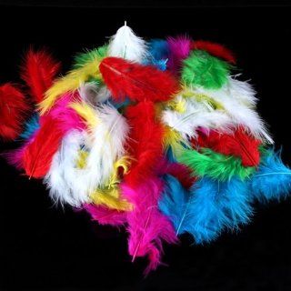 120 Pieces Craft Wild Turkey Tail Wing Feather Mixed Colors 5 10CM : Yellow Feather Wings : Beauty