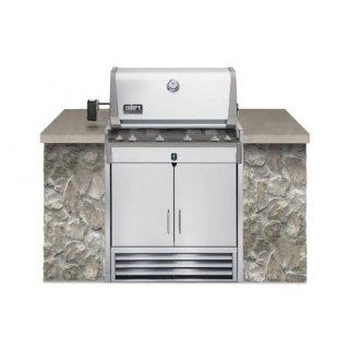 Weber 7840501 Summit Platinum D4 Built In Natural Gas Grill: Kitchen & Dining