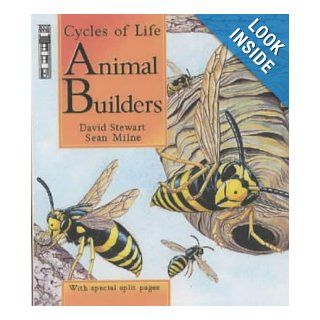 Animal Builders (Cycles of Life): David Stewart, Sean Milne: 9781904194279: Books