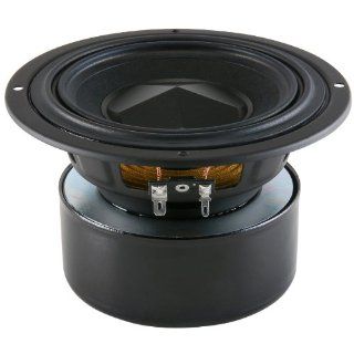 Tang Band W5 876SE 5" Shielded Subwoofer Driver 16 Ohms: Electronics
