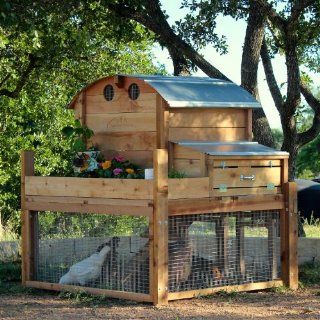 Round Top Backyard Chicken Coop : Chicken Run : Patio, Lawn & Garden