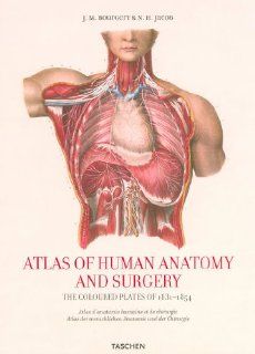 Atlas of Human Anatomy and Surgery: The Complete Coloured Plates of 1831 1854 (25th Anniversary Special Edtn): 9783836508650: Medicine & Health Science Books @