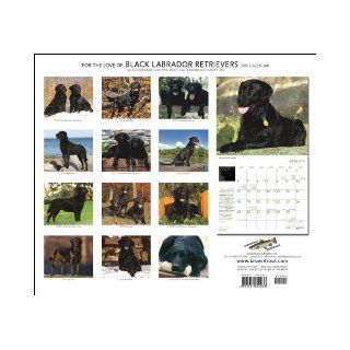 Labrador Retrievers, Black For the Love of 2010 Deluxe Wall (Multilingual Edition): BrownTrout Publishers Inc: 9781421651033: Books