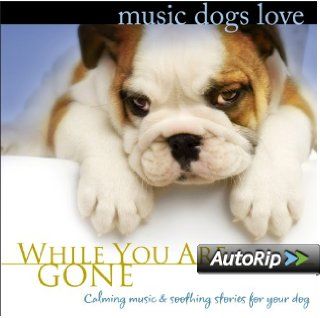 Music Dogs Love: While You Are Gone: Music