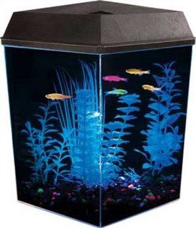 Aquarius Aq25000g Glofish 2 1/2 Corner Aquarium Kit : Pet Supplies