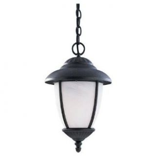 Sea Gull Lighting 60041 962 H.S.S. Co Op Outdoor Chain Hung Lantern, Brushed Nickel   Ceiling Pendant Fixtures  