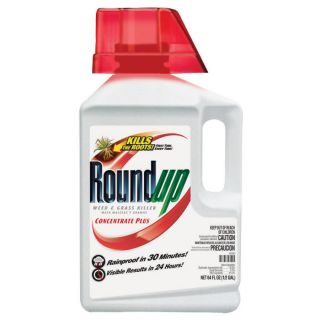 Roundup 64 oz Roundup Weed & Grass Killer Concentrate Plus