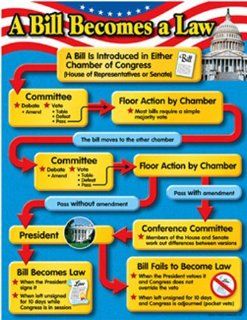 Chart A Bill Becomes A Law Gr 4 8 : Themed Classroom Displays And Decoration : Office Products