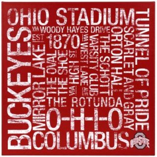 Ohio State Buckeyes 24 x 24 Square College Colors Subway Art Canvas