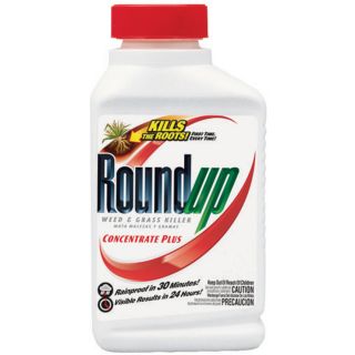 Roundup 16 oz Roundup Weed & Grass Killer Concentrate Plus