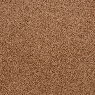 STAINMASTER Active Family Claris Marvel Textured Indoor Carpet
