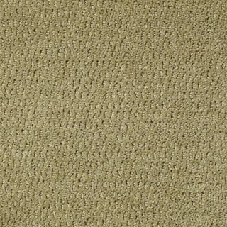 STAINMASTER Active Family Wine and Dine Twist of Lime Fashion Forward Indoor Carpet