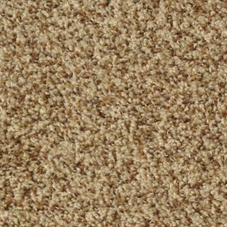 Dixie Group Active Family Maple Springs Henna Frieze Indoor Carpet