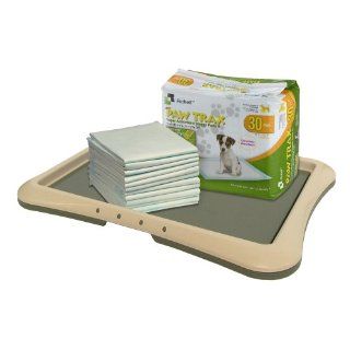 Richell Paw Trax Super Absorbent Training Pads and Starter Kit, Large, 30 Pads : Pet Training Pads : Pet Supplies