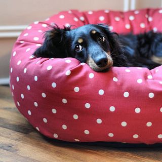 dotty donut dog beds by the stylish dog company