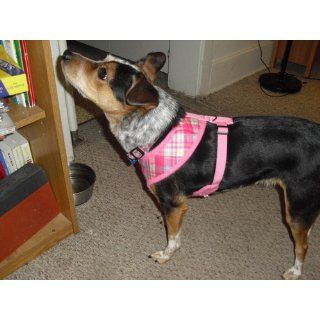 Puppia Soft Dog Harness Spring Pink Large : Pet Halter Harnesses : Pet Supplies
