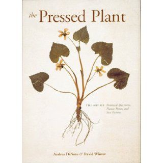 The Pressed Plant: Andrea DiNoto, David Winter: 9781556709364: Books