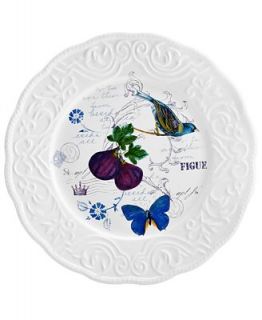 CLOSEOUT Mikasa Dinnerware, Antique Countryside Fig Dinner Plate   Casual Dinnerware   Dining & Entertaining