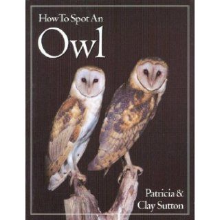 How to Spot an Owl: Patricia Taylor Sutton, Clay Sutton: 9780618012206: Books