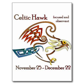 Celtic Hawk Postcard