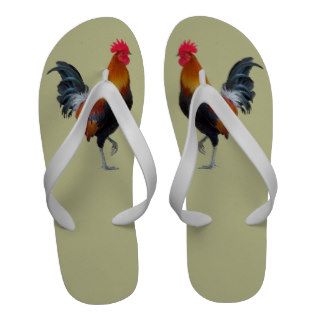 Colorful Strutting Rooster Flip Flops Sandals