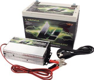 Lithium Pros L1600ACK Battery and Charger Kit with Top Mount Battery Terminal and One Battery Charger: Automotive