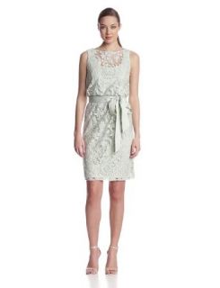 Adrianna Papell Women's Lace Bourson Dress with Sash at  Womens Clothing store