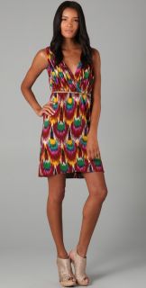 alice + olivia Alameda Ikat Print Dress