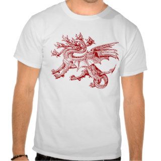 Medieval Hydra   many headed dragon   Red Shirts