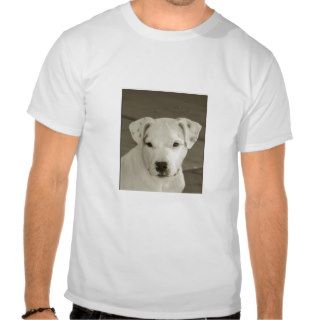 T Shirt Promoting the Gentle side of Pit bulls