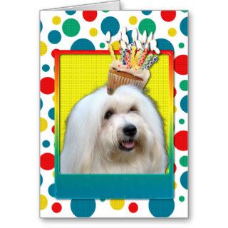 Birthday Cupcake   Coton de Tulear Card