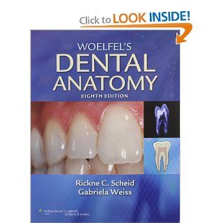 Woelfel's Dental Anatomy: Its Relevance to Dentistry (9781608317462): Rickne C. Scheid DDS  MEd, Gabriela Weiss DDS: Books