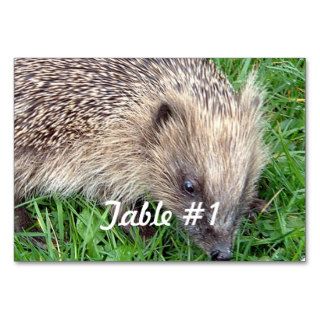 Hedgehog Table Card