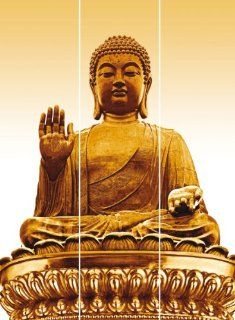 Flchenvorhangpaneel ~ Motiv: Buddha (3er Set) ~ Mae: je 60x245cm (Breite x Hhe) ~ Flchenvorhang / Gardine / Vorhang: Küche & Haushalt
