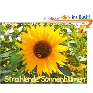 Strahlende Sonnenblumen Tischkalender 2014 DIN A5 quer : Strahlende Sonnenblumen Tischkalender, 14 Seiten: Karin Sigwarth: Bücher