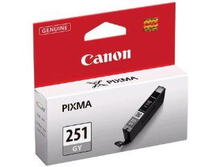 Canon Ink CLI 251 GY Individual Ink Tank: Electronics