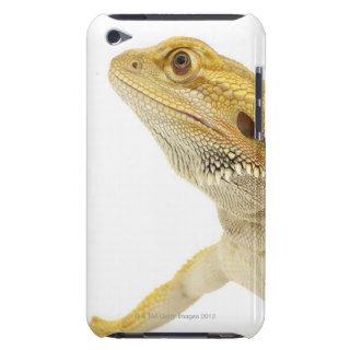 Bearded dragon (Pogona Vitticeps) Barely There iPod Case