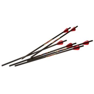 Excalibur Diablo 18 Carbon Arrows 725277