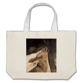 Demanding Moose Calf Canvas Bag