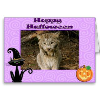 Canadian Lynx Halloween Cards