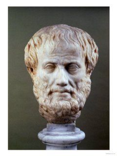 Marble Head of Aristotle (384 322 BC) Giclee Print Art (12 x 16 in) : Everything Else